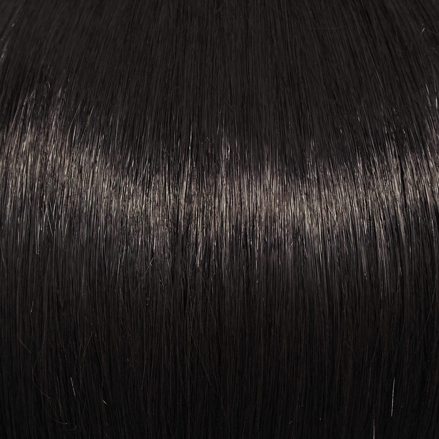 Accessories_Raquel Welch_Wigs Dress Code LARGE Wig by Raquel Welch