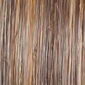Accessories_Raquel Welch_Wigs Easy Does It Wig by Raquel Welch | Synthetic Lace Front (Mono)