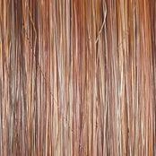 Accessories_Raquel Welch_Wigs Easy Does It Wig by Raquel Welch | Synthetic Lace Front (Mono)