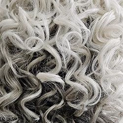 Accessories_Raquel Welch_Wigs Editor's Pick Elite Wig by Raquel Welch | 100% Hand Tied Heat Friendly Synthetic Lace Front (Mono)