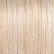 Accessories_Raquel Welch_Wigs Editor's Pick Large Wig by Raquel Welch | Heat Friendly Synthetic Lace Front (Mono)