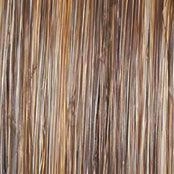 Accessories_Raquel Welch_Wigs Editor's Pick Large Wig by Raquel Welch | Heat Friendly Synthetic Lace Front (Mono)