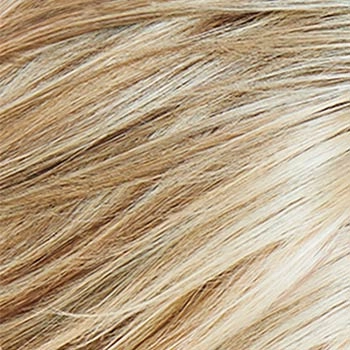 Accessories_Raquel Welch_Wigs Fascination