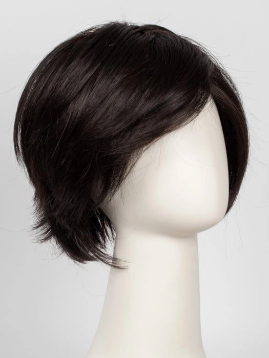Accessories_Raquel Welch_Wigs Flirting With Fashion | HF Synthetic Lace Front Wig (Mono Top)
