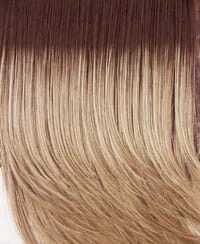 Accessories_Raquel Welch_Wigs Gilded 12" 100% Human Hair Top Piece by Raquel Welch