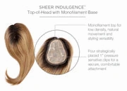 Accessories_Raquel Welch_Wigs Go All Out 16" Topper by Raquel Welch