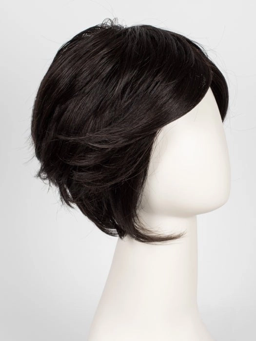 Accessories_Raquel Welch_Wigs Go To Style | Synthetic Lace Front Wig (Mono Part)