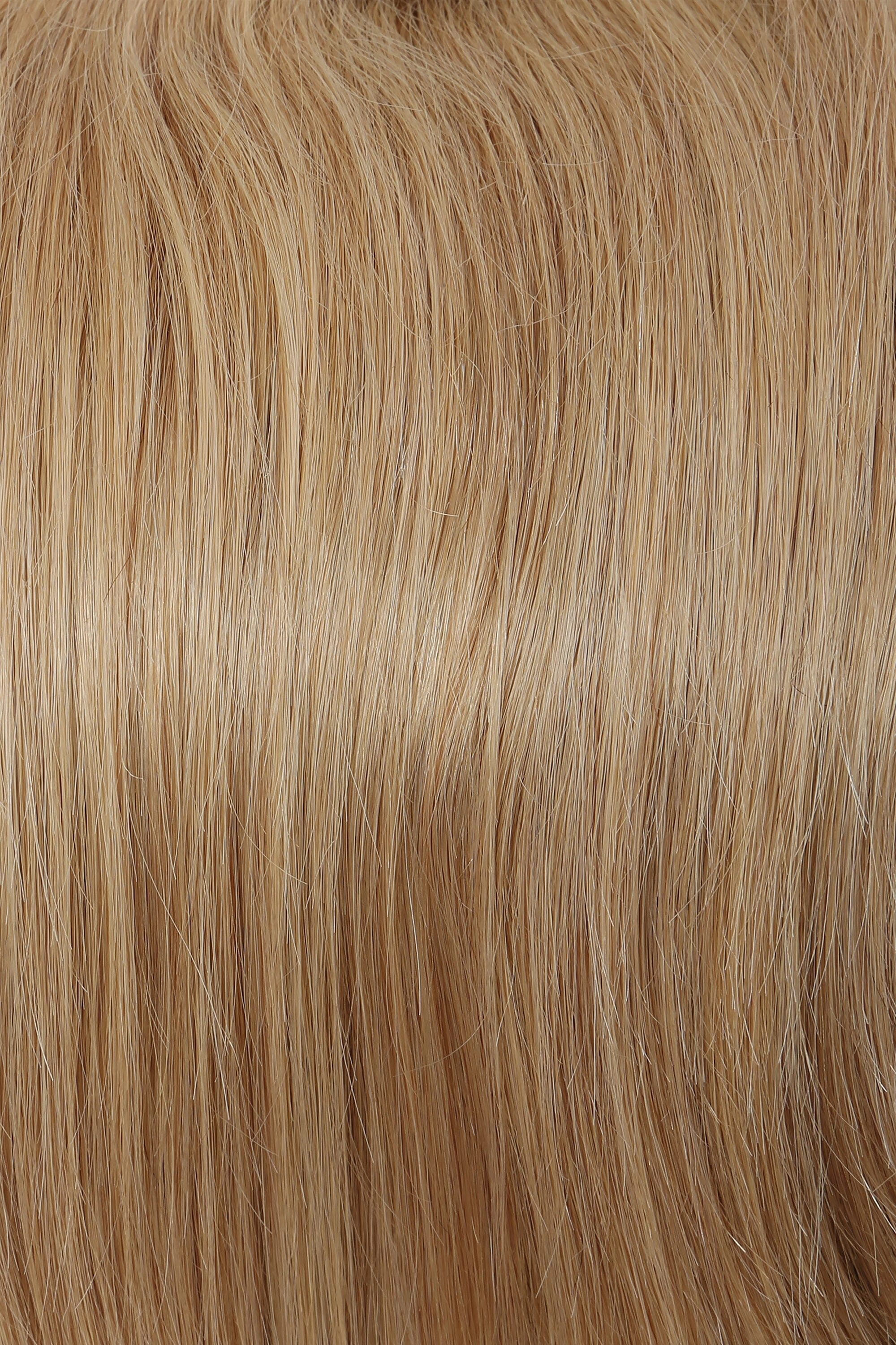 Accessories_Raquel Welch_Wigs Grand Entrance Human Hair Wig by Raquel Welch