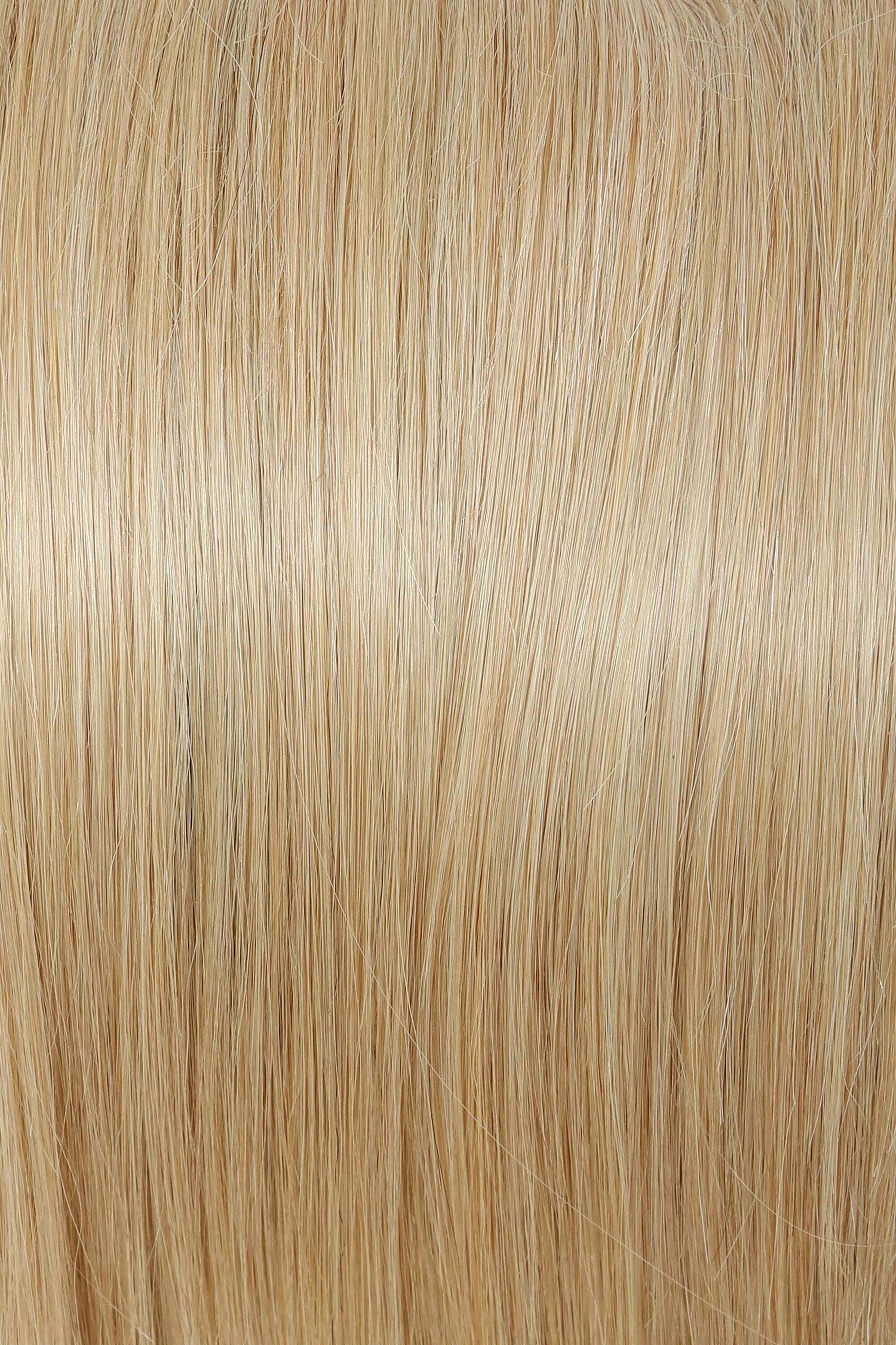 Accessories_Raquel Welch_Wigs Grand Entrance Human Hair Wig by Raquel Welch