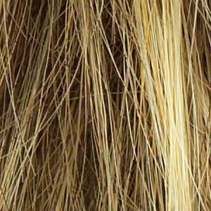 Accessories_Raquel Welch_Wigs Muse Wig by Raquel Welch | Synthetic (100% Hand-Knotted Lace Front Mono Top)