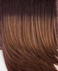 Accessories_Raquel Welch_Wigs Power Wig by Raquel Welch (Petite/Average cap)