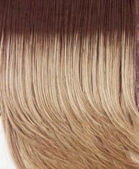 Accessories_Raquel Welch_Wigs Power Wig by Raquel Welch (Petite/Average cap)