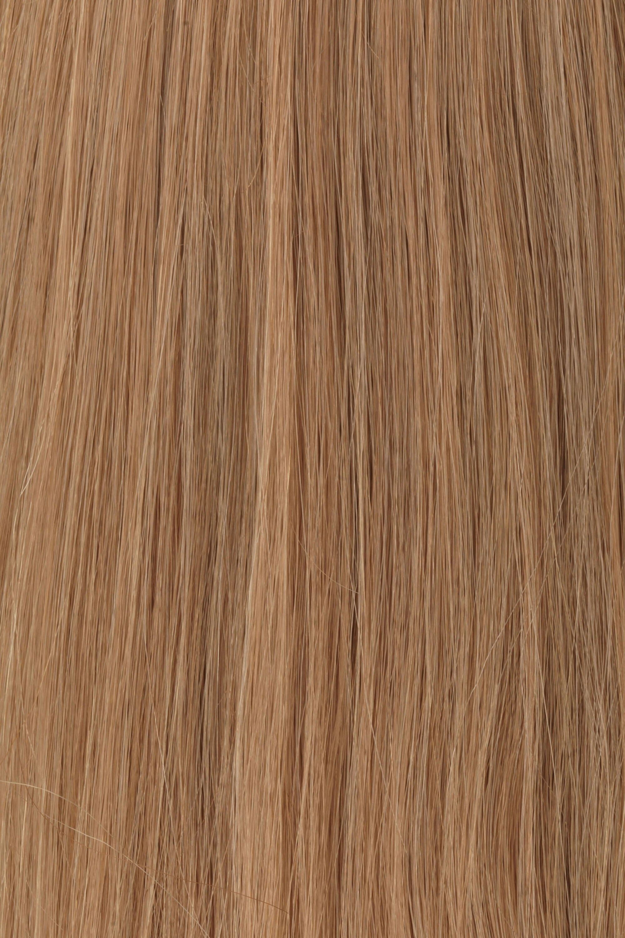 Accessories_Raquel Welch_Wigs Princessa Human Hair Wig by Raquel Welch