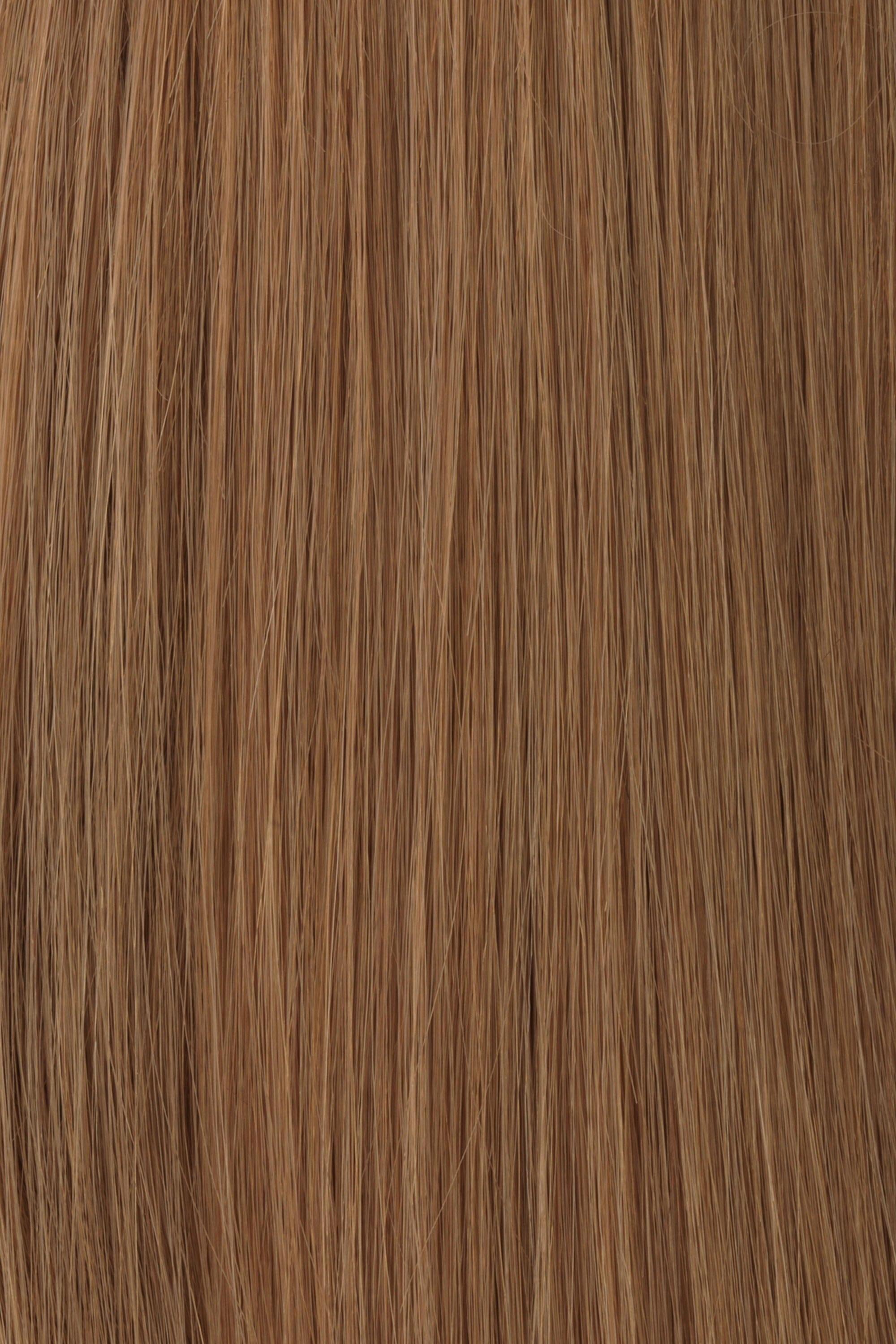 Accessories_Raquel Welch_Wigs Princessa Human Hair Wig by Raquel Welch