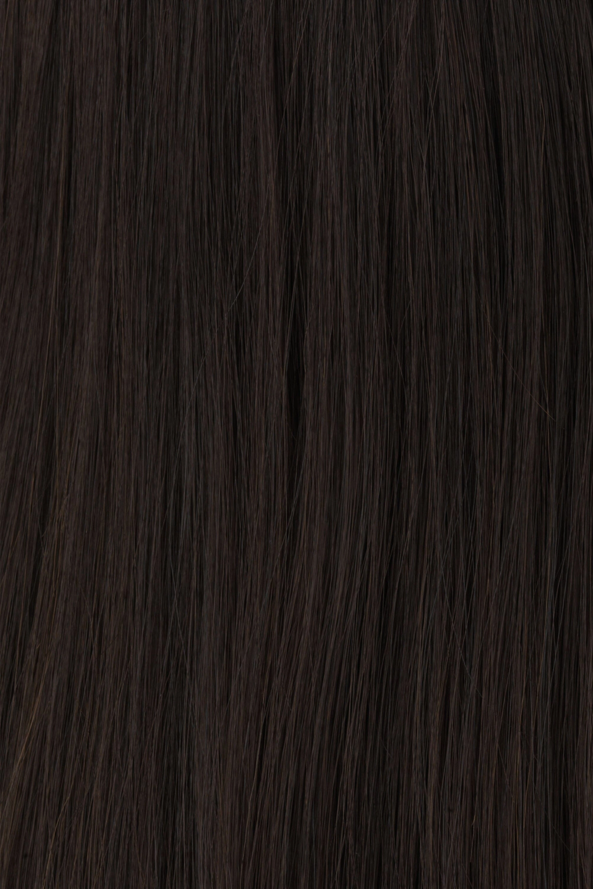 Accessories_Raquel Welch_Wigs Princessa Human Hair Wig by Raquel Welch