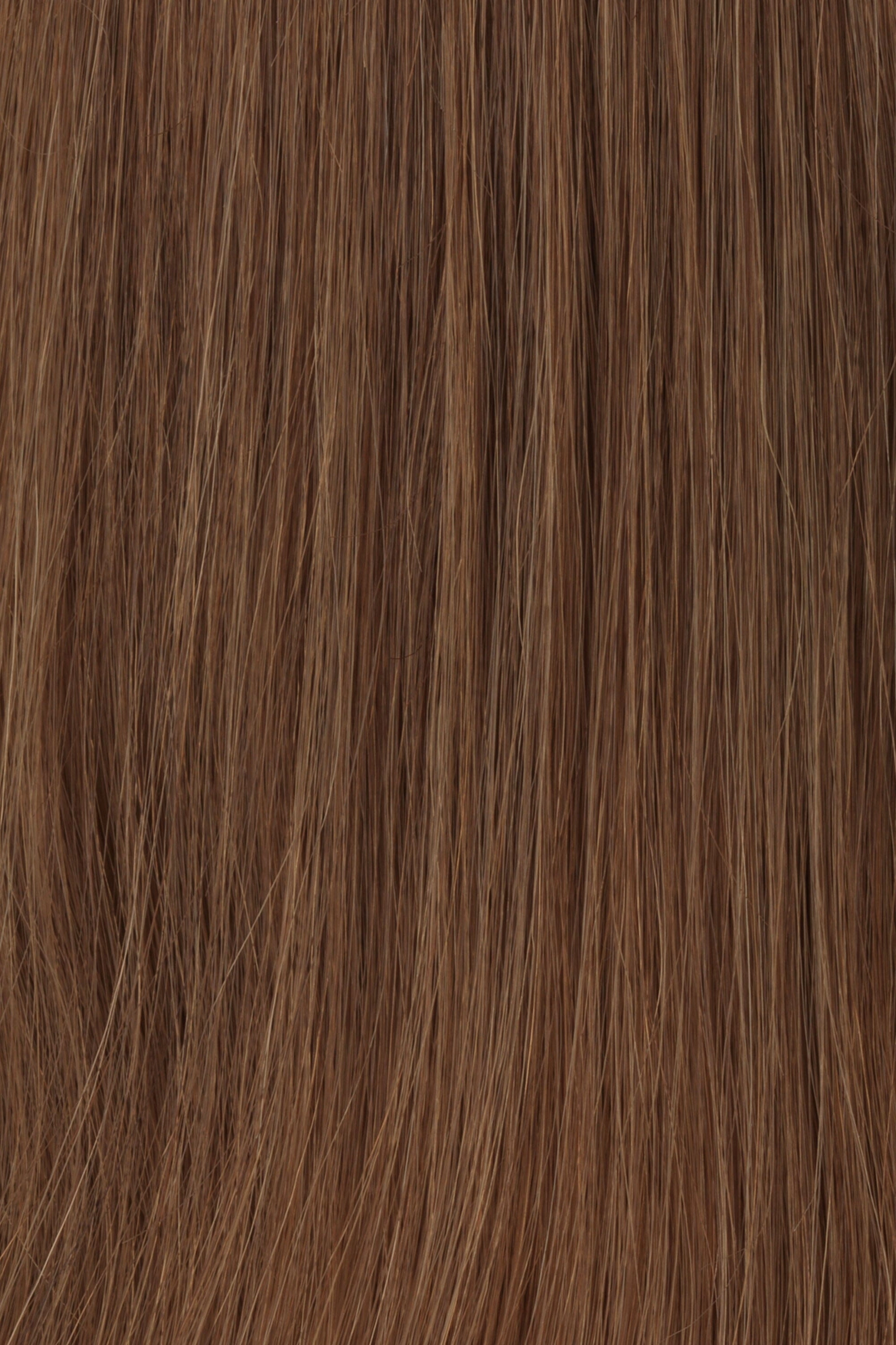 Accessories_Raquel Welch_Wigs Princessa Human Hair Wig by Raquel Welch