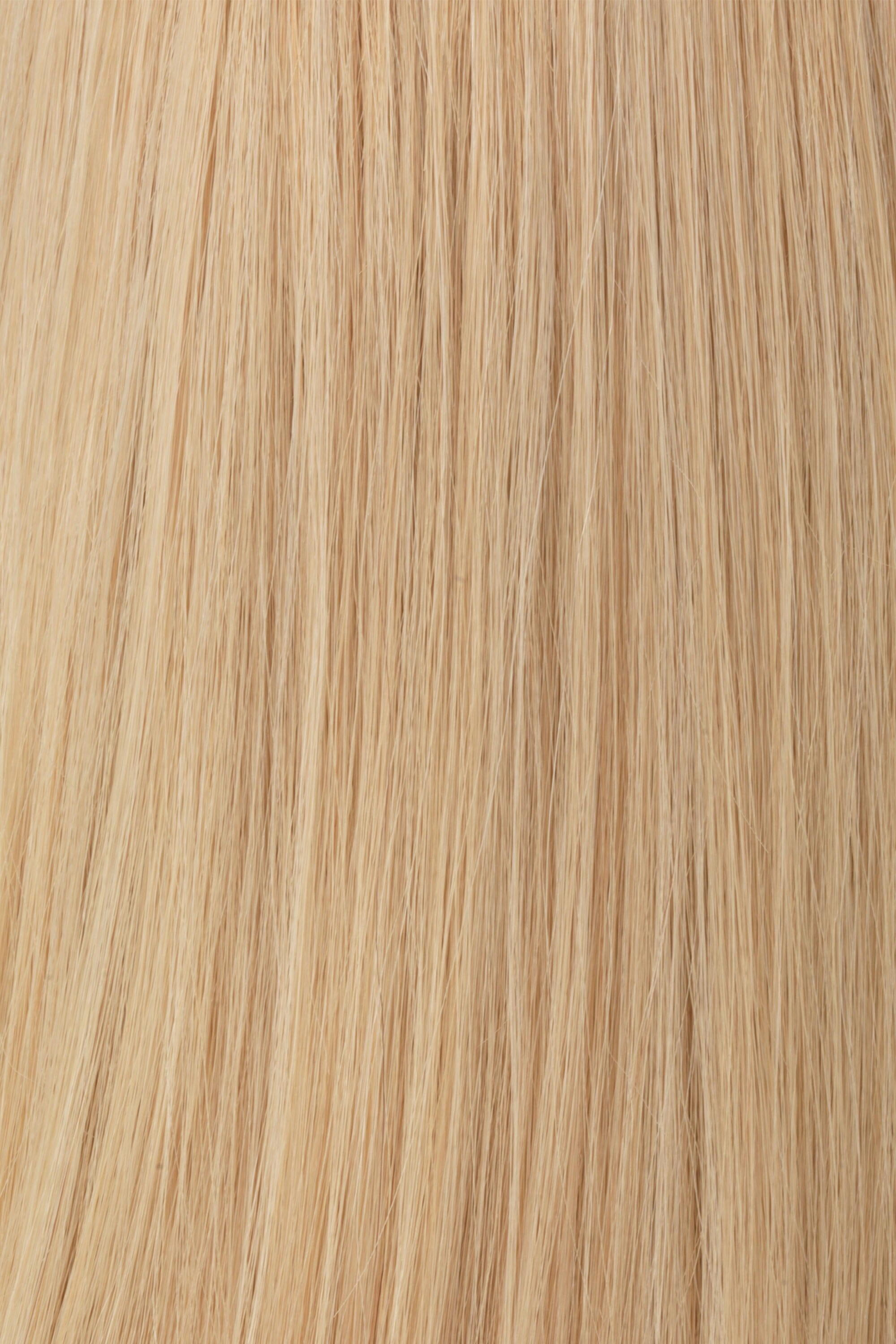 Accessories_Raquel Welch_Wigs Princessa Human Hair Wig by Raquel Welch