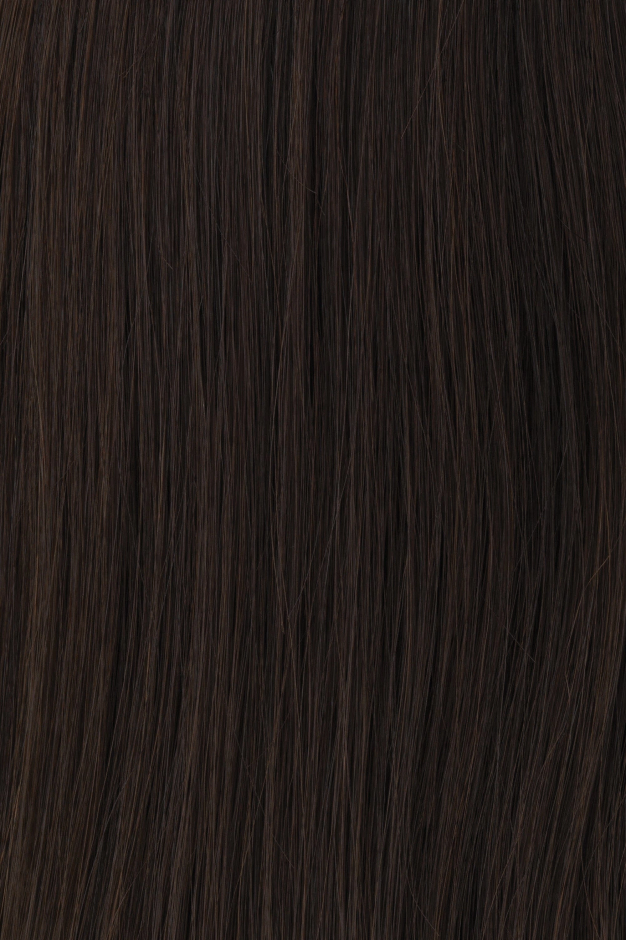 Accessories_Raquel Welch_Wigs Princessa Human Hair Wig by Raquel Welch