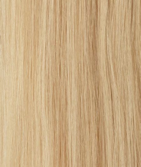 Accessories_Raquel Welch_Wigs Princessa Human Hair Wig by Raquel Welch