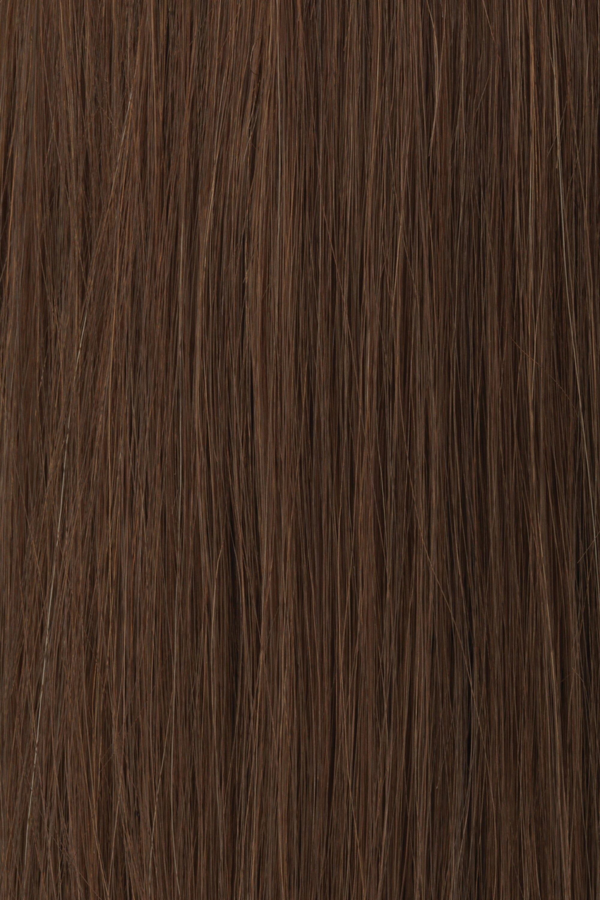 Accessories_Raquel Welch_Wigs Princessa Human Hair Wig by Raquel Welch