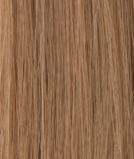 Accessories_Raquel Welch_Wigs Princessa Human Hair Wig by Raquel Welch