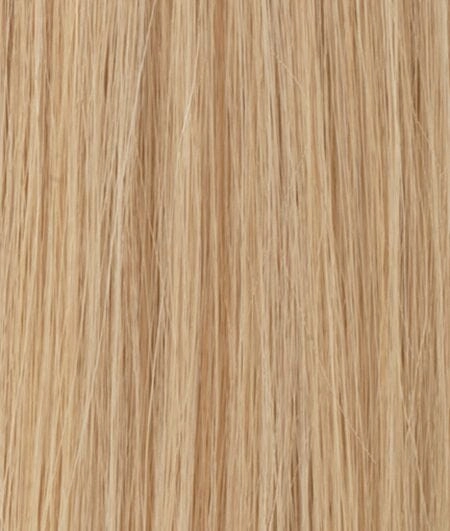 Accessories_Raquel Welch_Wigs Princessa Human Hair Wig by Raquel Welch
