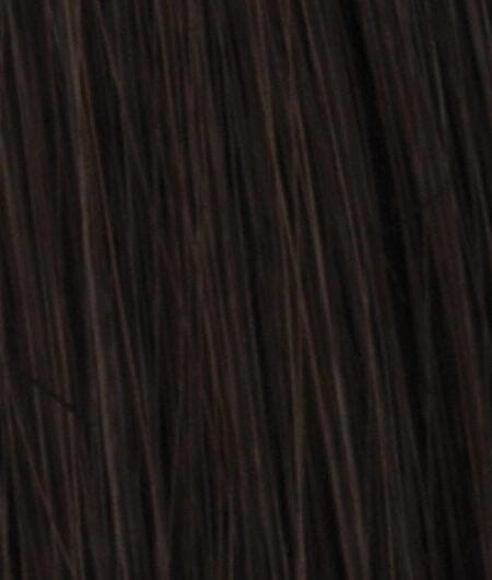 Accessories_Raquel Welch_Wigs Princessa Human Hair Wig by Raquel Welch