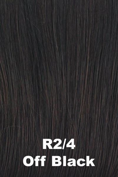 Accessories_Raquel Welch_Wigs Raquel Welch Wigs - Flirting With Fashion
