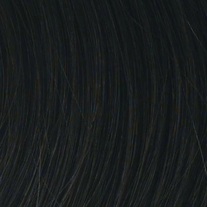 Accessories_Raquel Welch_Wigs Sonata Hair Addition by Raquel Welch | Synthetic (Traditional Cap)