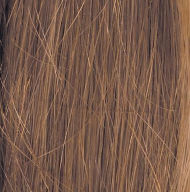 Accessories_Raquel Welch_Wigs Special Effect by Raquel Welch | Human Hair Top Piece (Lace Front Mono Top)