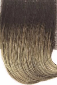 Accessories_Raquel Welch_Wigs Stroke of Genius Wig by Raquel Welch