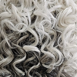 Accessories_Raquel Welch_Wigs Take A Bow Wig by Raquel Welch | Heat Friendly Synthetic (Lace Front Mono)