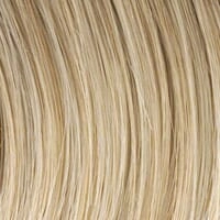 Accessories_Raquel Welch_Wigs Tress Wig by Raquel Welch