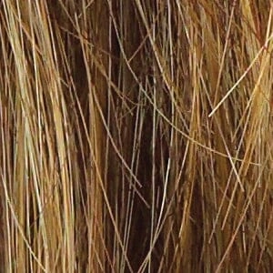 Accessories_Raquel Welch_Wigs Voltage LARGE Cap Wig by Raquel Welch