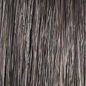 Accessories_Raquel Welch_Wigs Wavy Day Wig by Raquel Welch | Synthetic Lace Front (Mono Top)