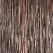 Accessories_Raquel Welch_Wigs Wavy Day Wig by Raquel Welch | Synthetic Lace Front (Mono Top)