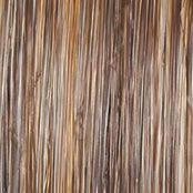 Accessories_Raquel Welch_Wigs Wavy Day Wig by Raquel Welch | Synthetic Lace Front (Mono Top)