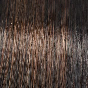 Accessories_Raquel Welch_Wigs Winner