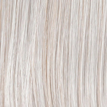 Accessories_Raquel Welch_Wigs Winner