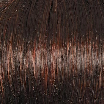 Accessories_Raquel Welch_Wigs Winner