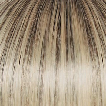 Accessories_Raquel Welch_Wigs Winner