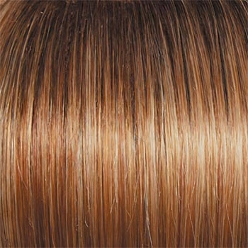 Accessories_Raquel Welch_Wigs Winner