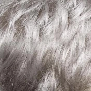 Accessories_Raquel Welch_Wigs Winner