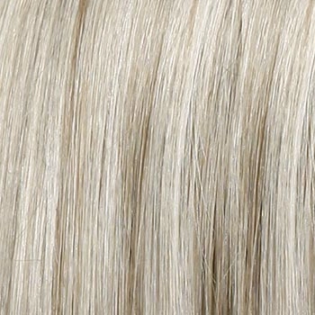 Accessories_Raquel Welch_Wigs Winner