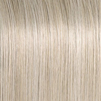 Accessories_Raquel Welch_Wigs Winner