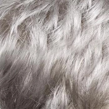 Accessories_Raquel Welch_Wigs Winner Petite