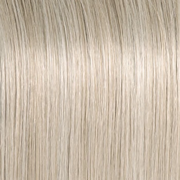 Accessories_Raquel Welch_Wigs Winner Petite