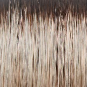 Accessories_Raquel Welch_Wigs Winner