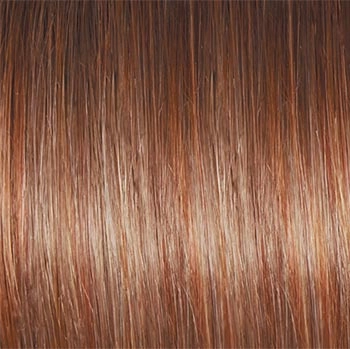 Accessories_Raquel Welch_Wigs Winner