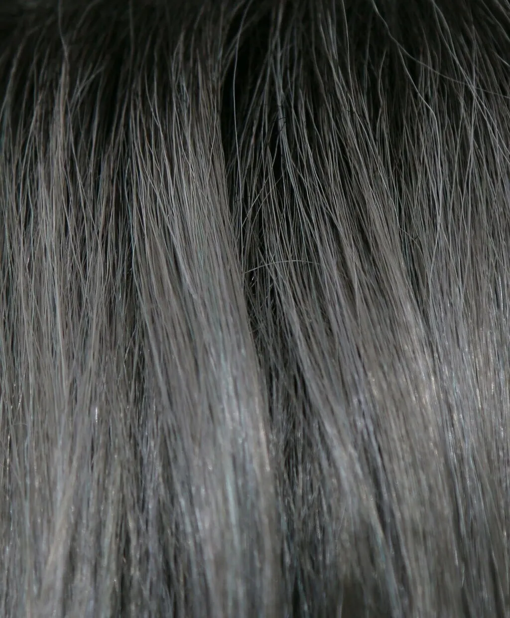 Accessories_Rene of Paris_Wigs Adeline Wig by Rene of Paris -Discontinued /Final Sale: no refunds or exchanges